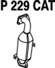 FENNO P229CAT Catalytic Converter